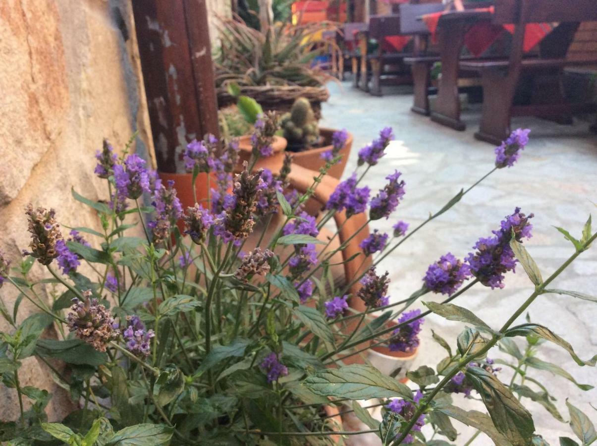 Guest House Gergana Primorsko Exterior foto